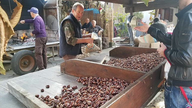 トスカーナ州で最大規模の「マッラーディ」の栗祭り。