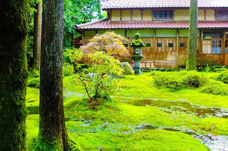 ［苔の里］昭和50年代まで庭の落ち葉を燃料として使っていたという日用町。落ち葉集めによって地表がきれいに保たれ、苔が厚く育つことになったのだそう。