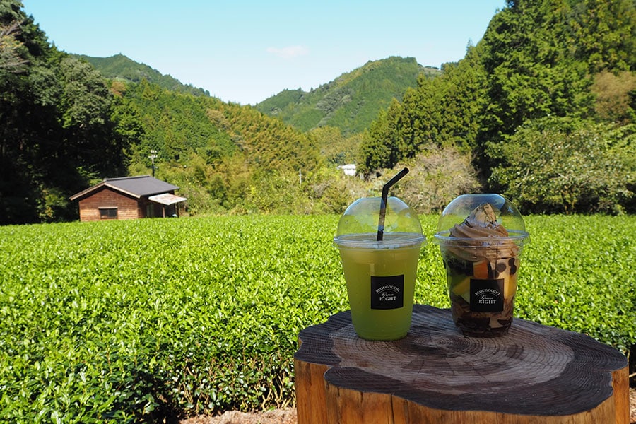 一面に茶畑が広がるテラス。向こうの山の上に見えるのは、「つゆひかり」が育つ茶畑。