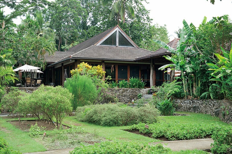 施設内に設けられたオーガニック菜園。