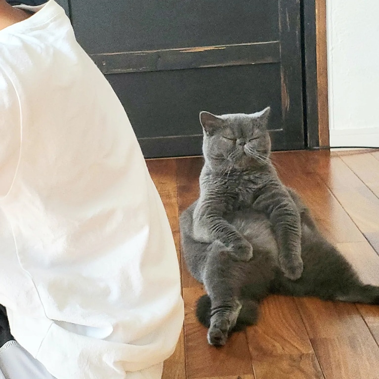 にゃん太 ♂ 3歳。