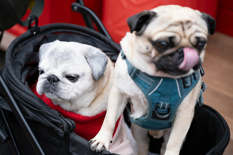 アザーカット。