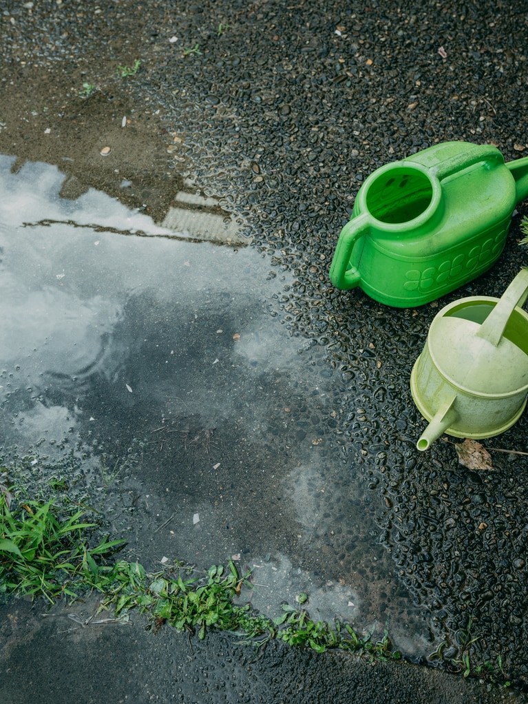 農作物にとって恵みとなる、雨。しかし、昨今の夏の厳しい暑さは、農作物の成長も大きく左右してしまう。（photo：Ayumi Mineoka）