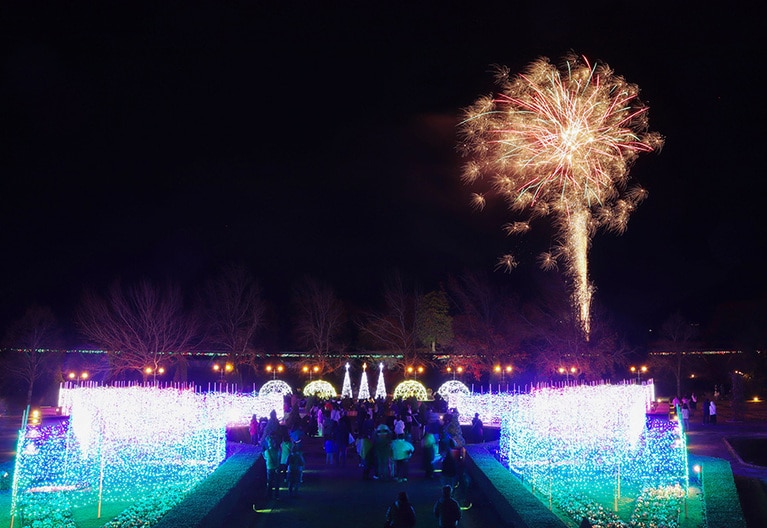 花回廊イルミネーション。🄫とっとり花回廊