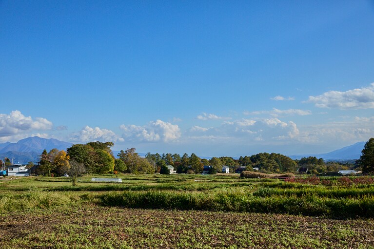 日本の原風景を感じさせる風景が広がる。