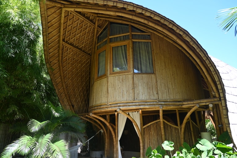 裏庭から見ると、こんな感じ。