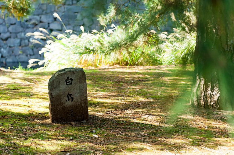 お濠の表情はそれぞれ異なる。