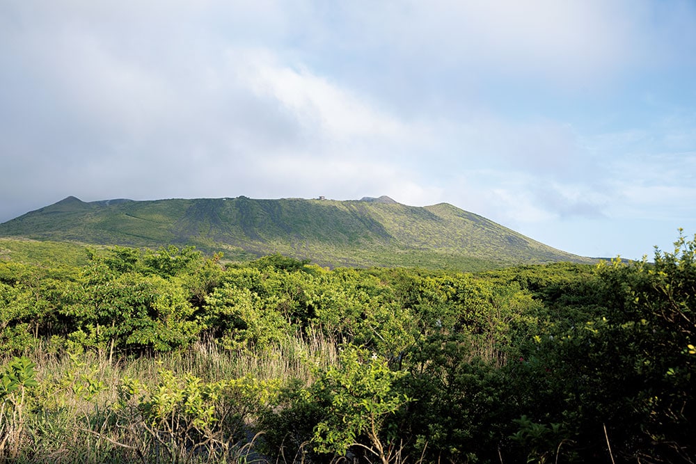山頂口展望台から眺める三原山。火口のへりまで見えており、噴火のスケールがよくわかる山の形。手前は樹海。