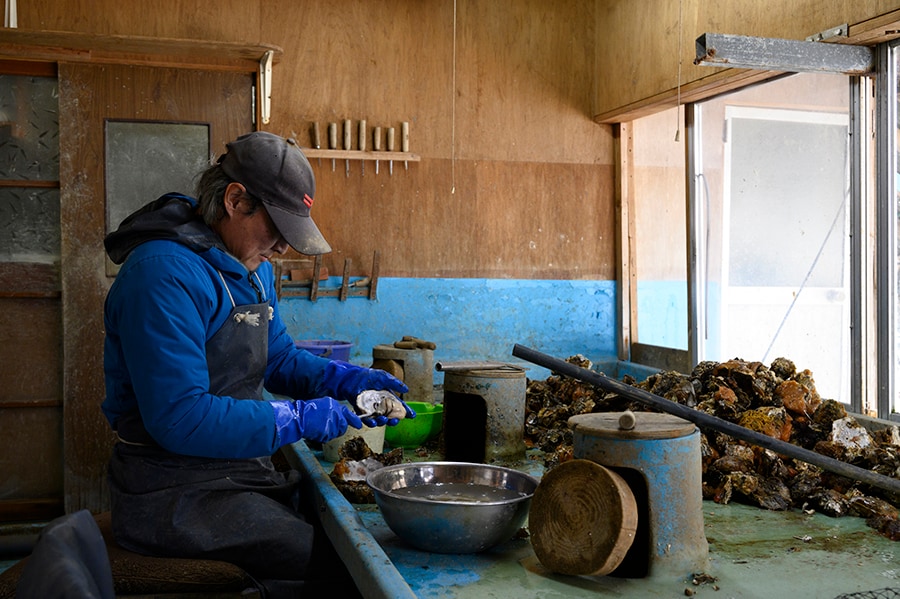 水揚げした牡蠣は牡蠣小屋に運ばれ、手際よく殻から外され調理されるのでとびきり新鮮！