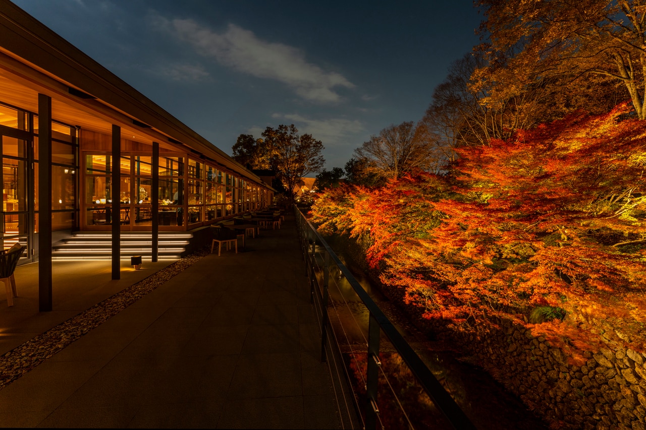 レストラン「TENJIN」で満喫する紅葉も格別。例年11月中旬から下旬にかけて見ごろとなります。