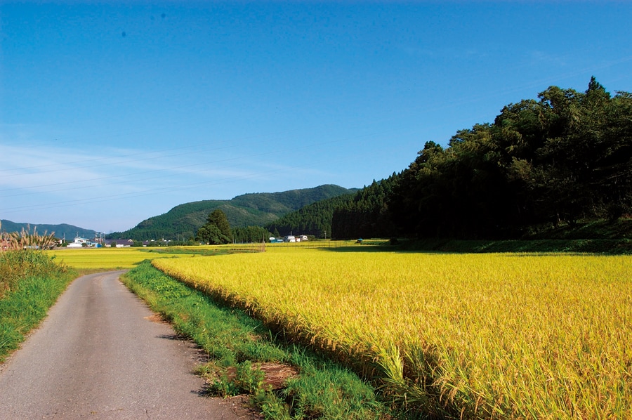 【山ふところの宿 みやま 別館】宿の外にはのんびりとした里山の風景が。