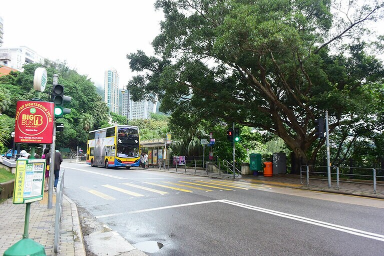 中心地からの路線バス網が充実しています。