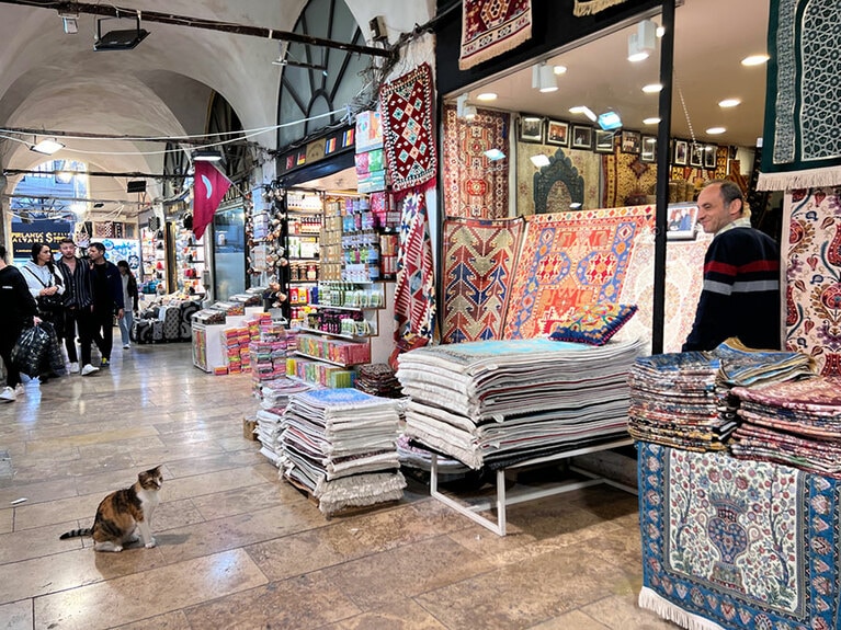 買い物客が行き交うじゅうたん店の前では、ネコがおやつをねだっていた。