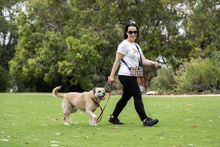 キングスパーク。