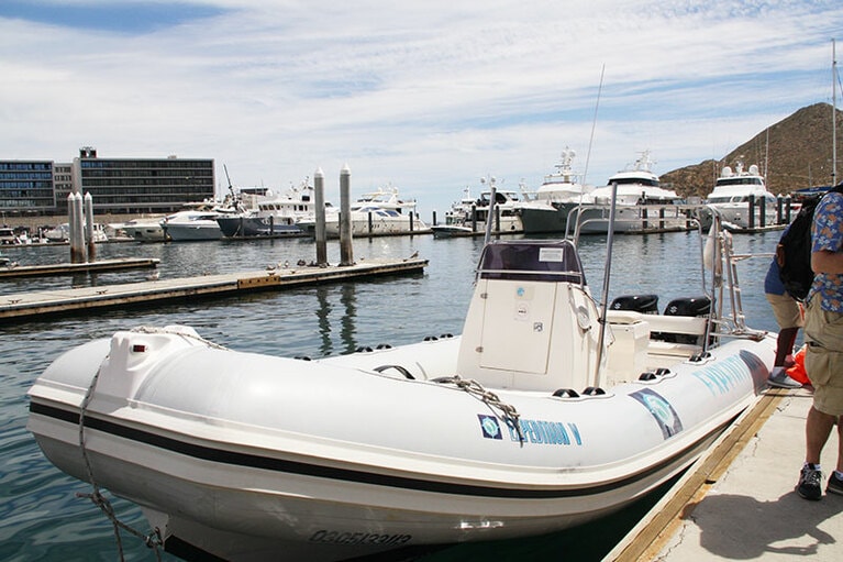 小さなボートに乗ってホエールウォッチングに出発！