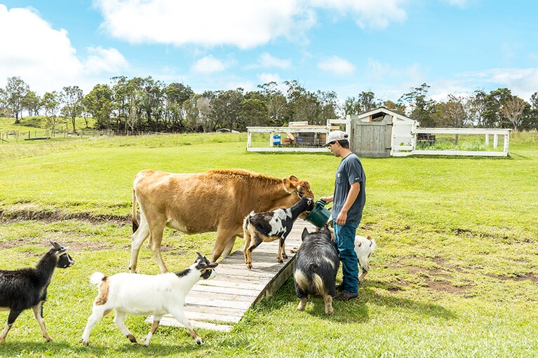 牧場の仕事は家族みんなで。