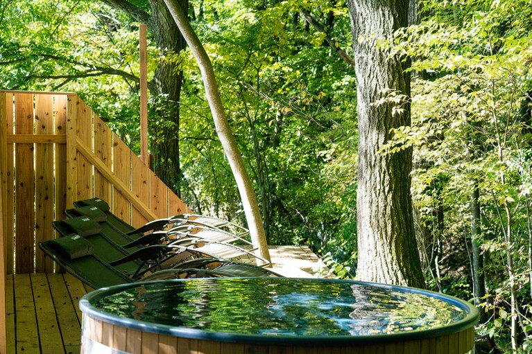 シーズンによって表情を変える森。新緑が芽吹く５月は特にオススメ。