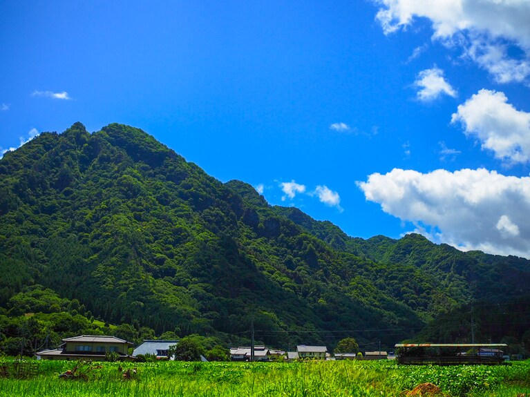 写真はイメージです。写真：zumepanman/イメージマート