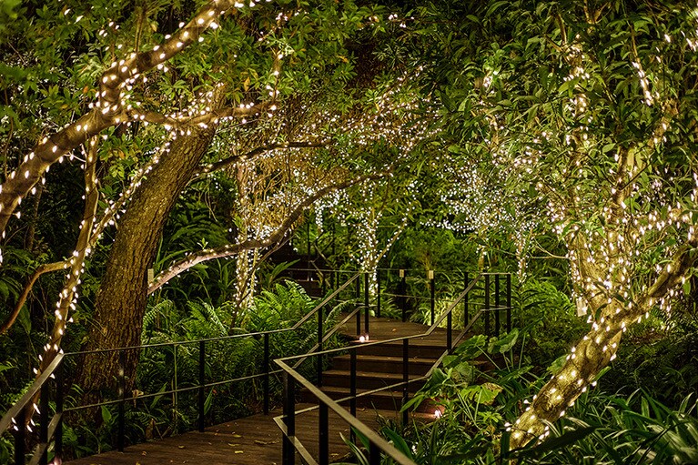 イルミネーション。