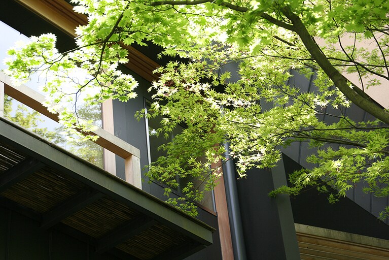 べにや無何有［石川／山代温泉］山庭からの外観。