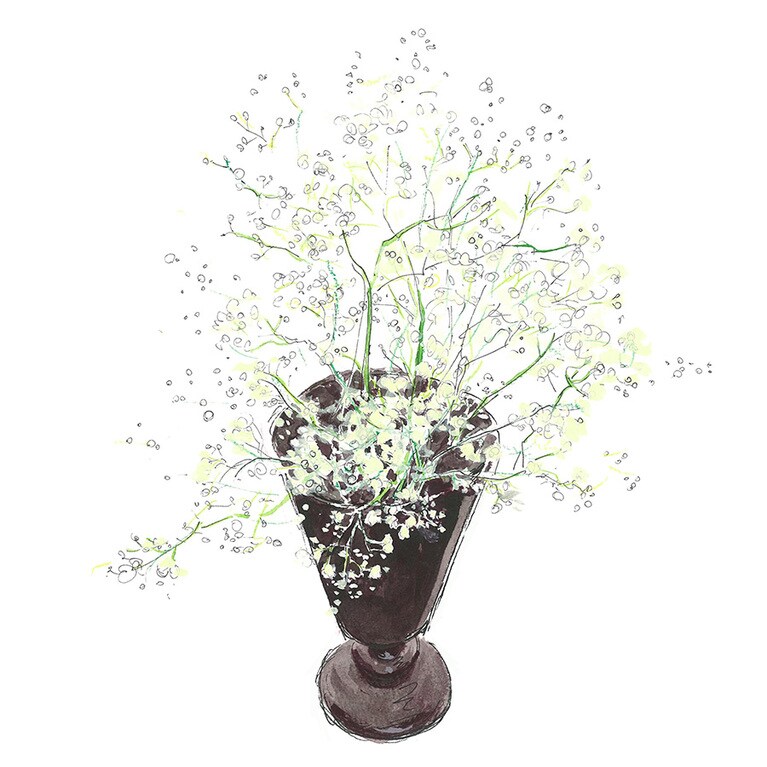 カスミソウ「ミルキーウェイ」。