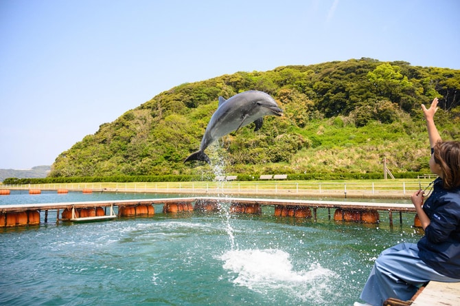 日本のモンサンミッシェルほか 神々が宿る島【壱岐】の おすすめスポット5選