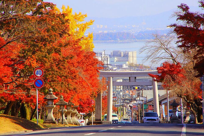 日吉大社からの帰り道。