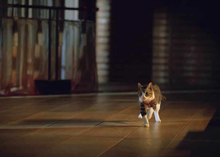 視聴者を魅了する迫真の演技！　©NHK