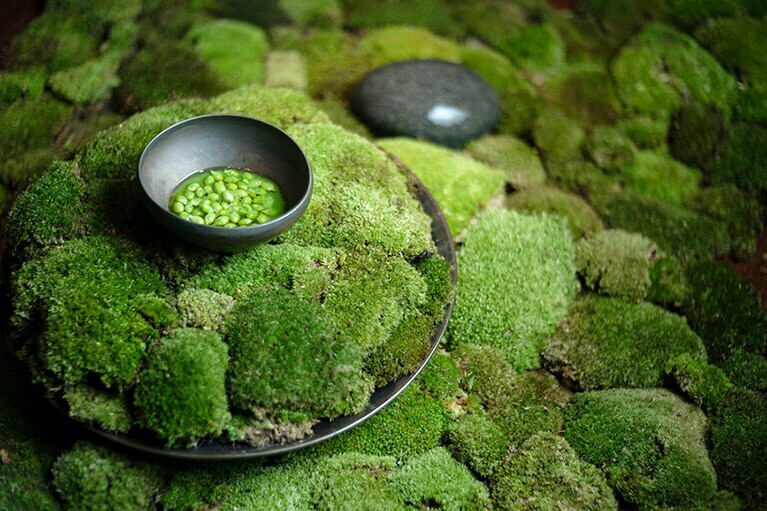 美山の豆乳で作る豆腐に吉野葛でとろみをつけたスナップエンドウのジュース、宇治茶の塩をかける。料理はすべて32,000円(サ込)のコースからの一例。撮影＝橋本篤