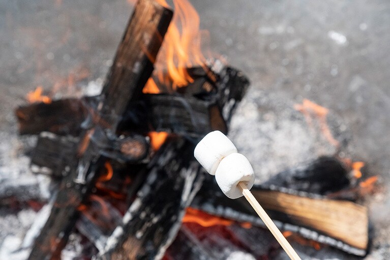 寒い日も、焚き火にあたって焼きマシュマロを頬張れば気分はあったか。
