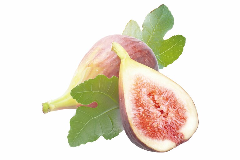 ラストノートに使われている無花果（フィグ）。