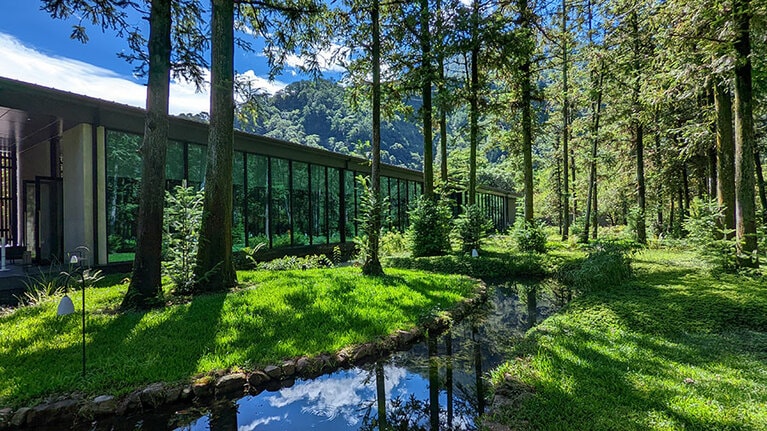 朝日に照らされて、キラキラと光り輝く木立と水面。