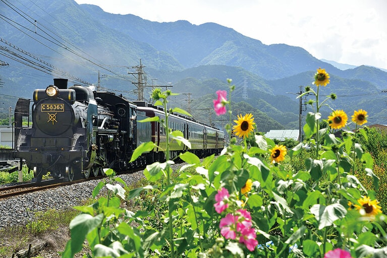 夏の秩父とSLパレオエクスプレス。