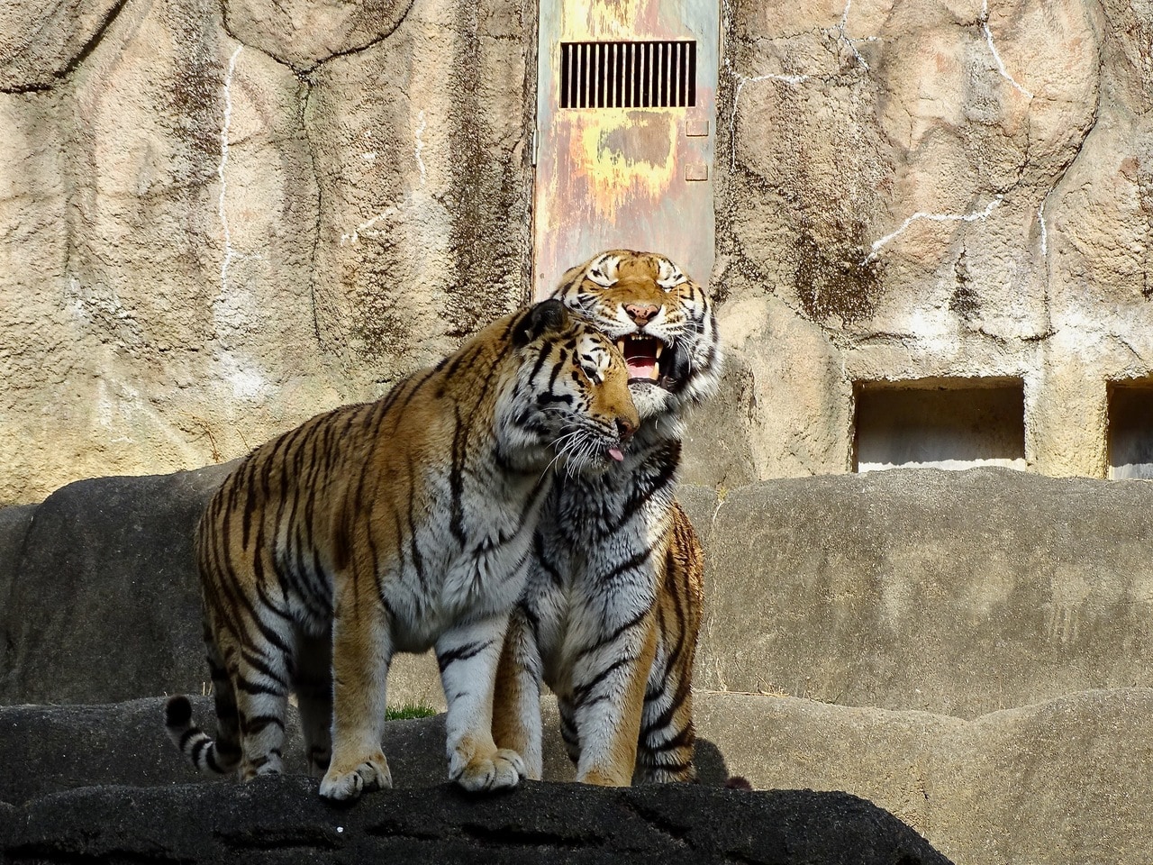 運命の出会い！
