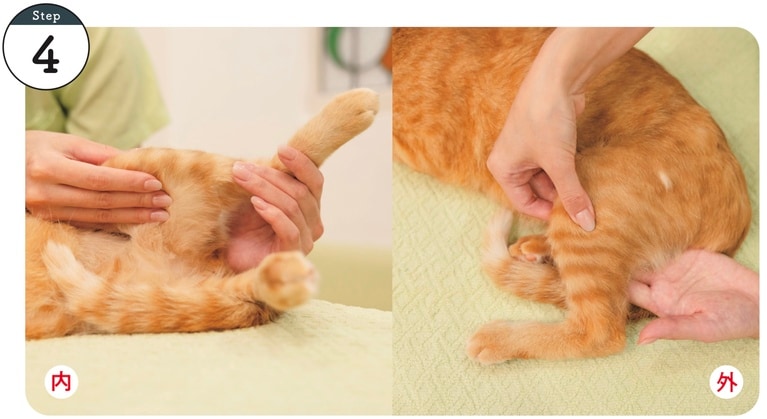 使用するツボ：陽陵泉､ 陰陵泉。