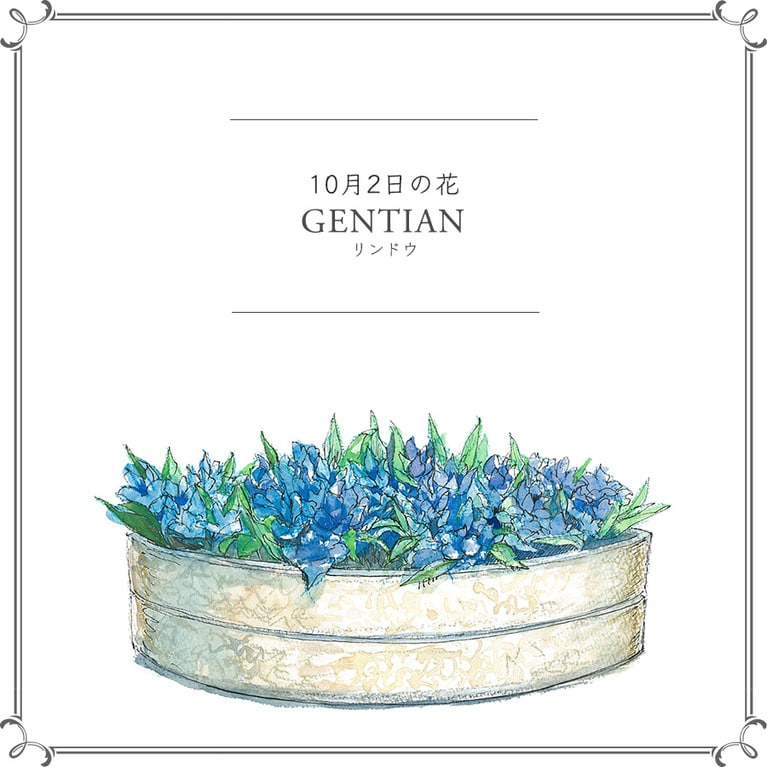 10月2日の花「リンドウ」