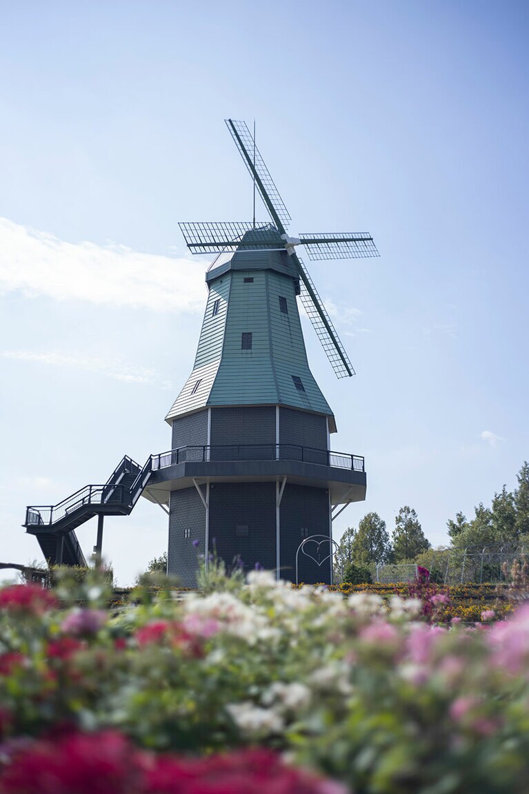 風車の展望台からは、霞ヶ浦の全貌を眺められる。