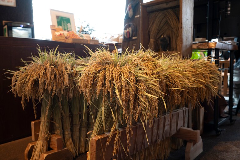 店内にはお米作りをされている傍ら流木で作品をつくるアキフミキングさんの、eatrip soil内での展示も。