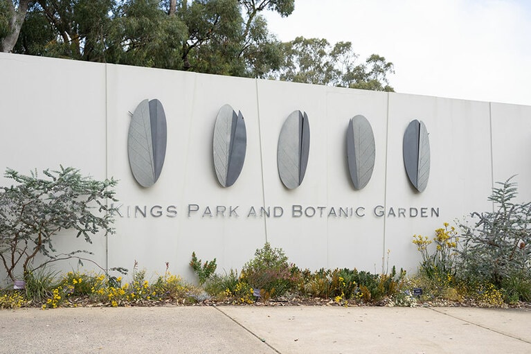 入場無料で見られる。