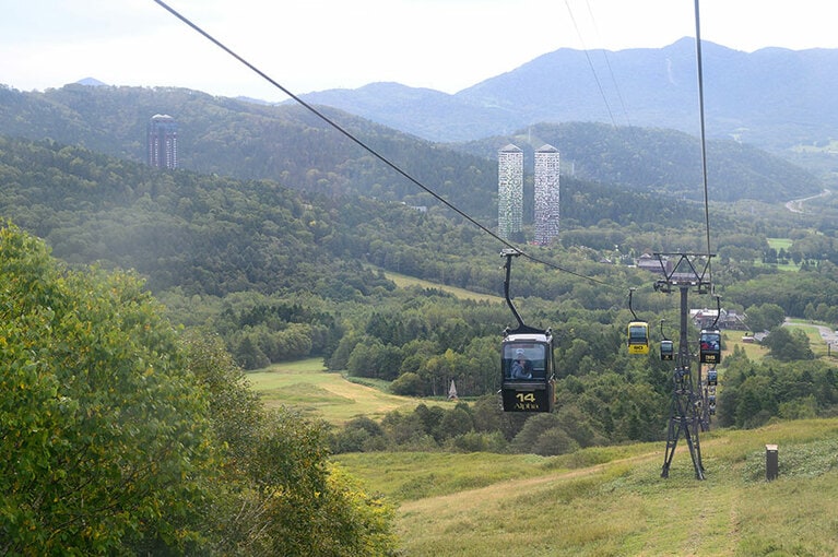 黄葉が始まる山や鹿などの野生動物が見られるゴンドラ乗車も楽しみのひとつ。
