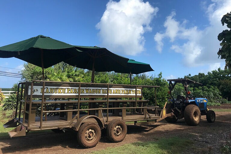 「ファームツアー」大人(13歳以上)  32ドル、子供(5～12歳)  22ドル、4歳以下無料。