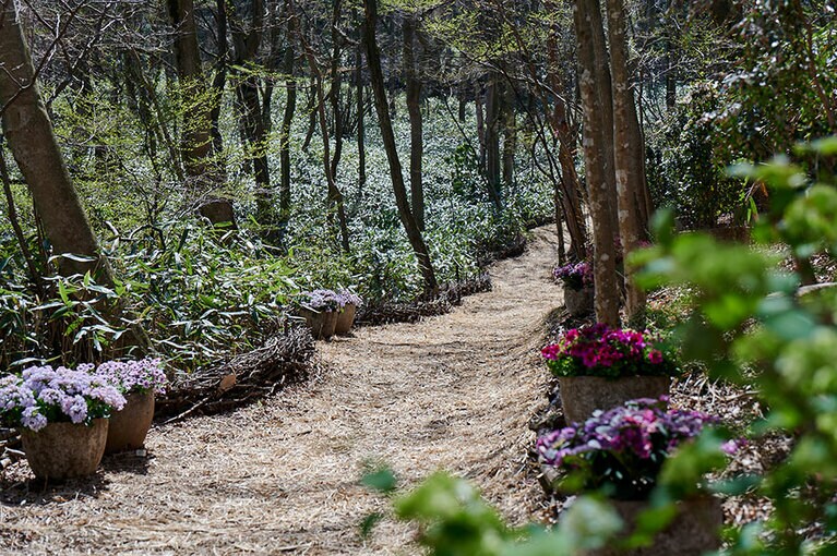 園内はアップダウンがあり、ちょっとしたトレッキング気分。