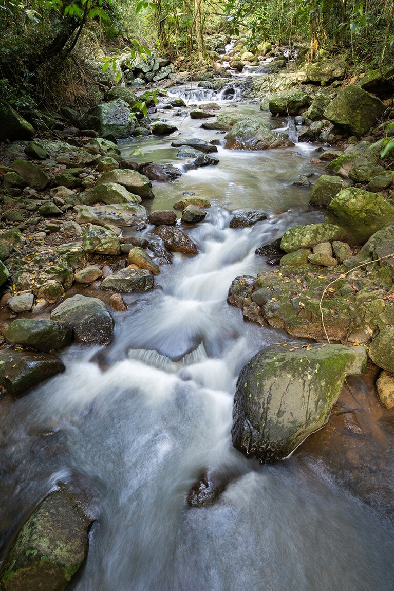 ナチュラル・ブリッジ地区へは、公共交通機関で行くことはできないので、レンタカーやツアーを利用して。