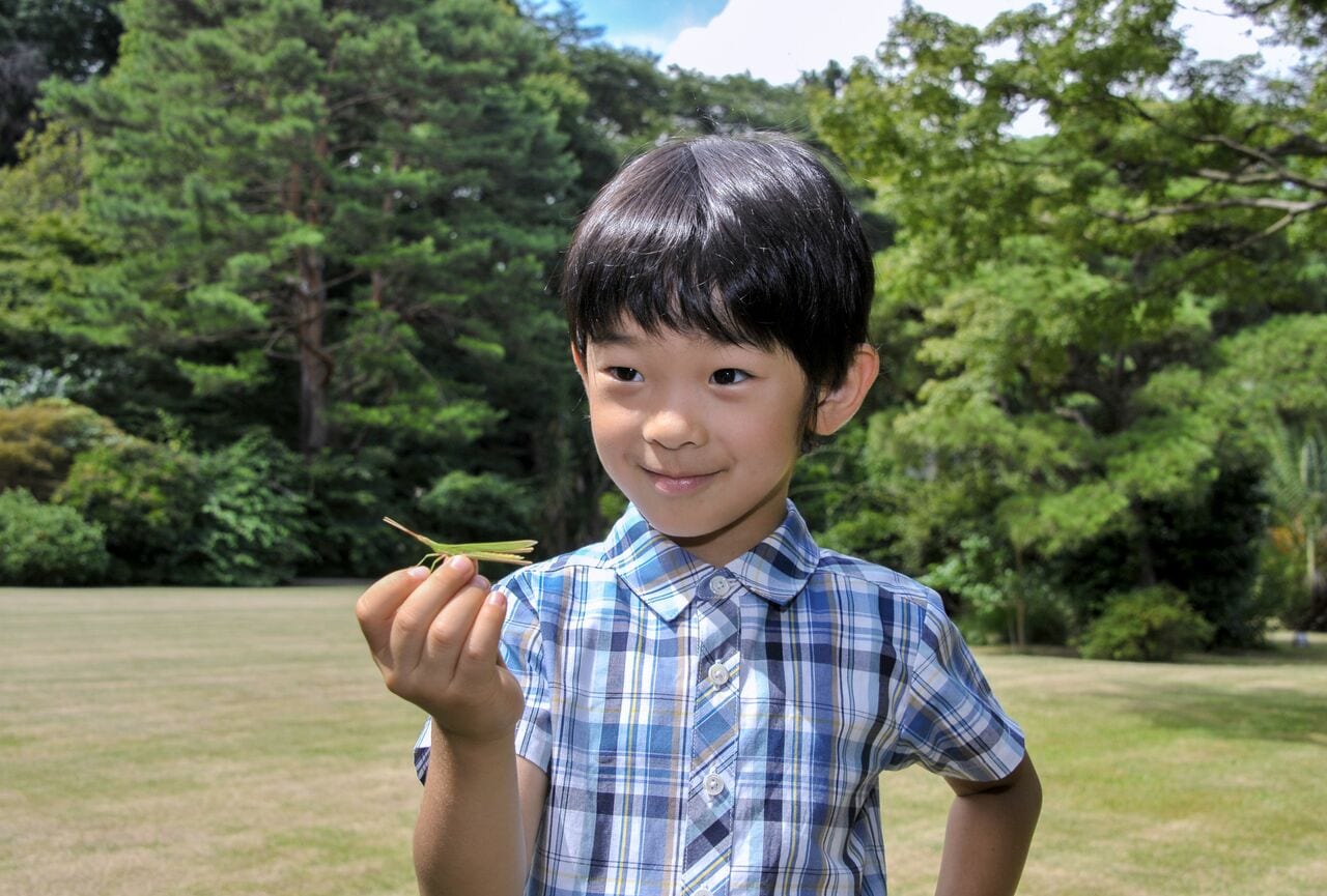 悠仁さま　宮内庁提供