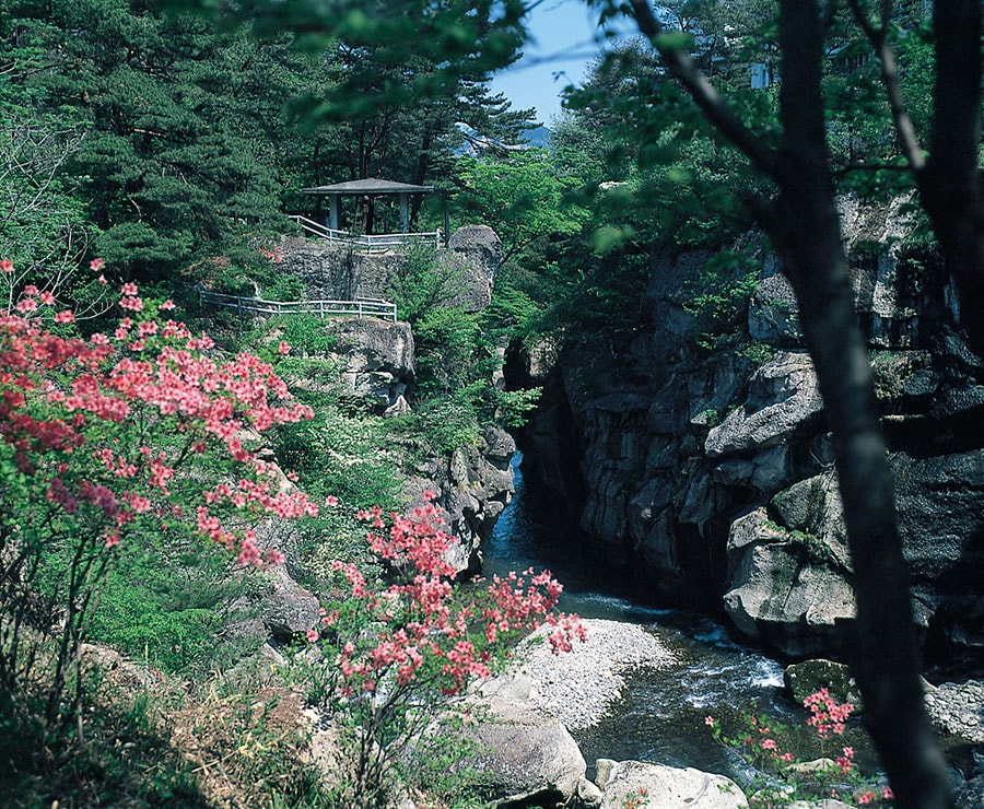 新緑の磊々峡。