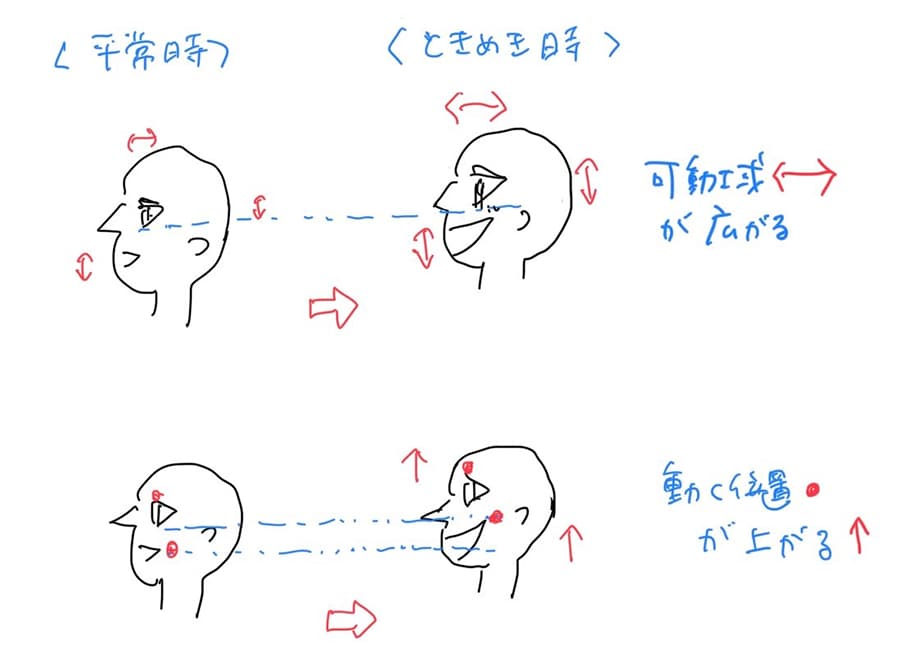 ときめくと目や口が上に開くので、その後の動作の「場所」が上部になる（＝上がる！）気がします（注・にらさわのイメージです）。