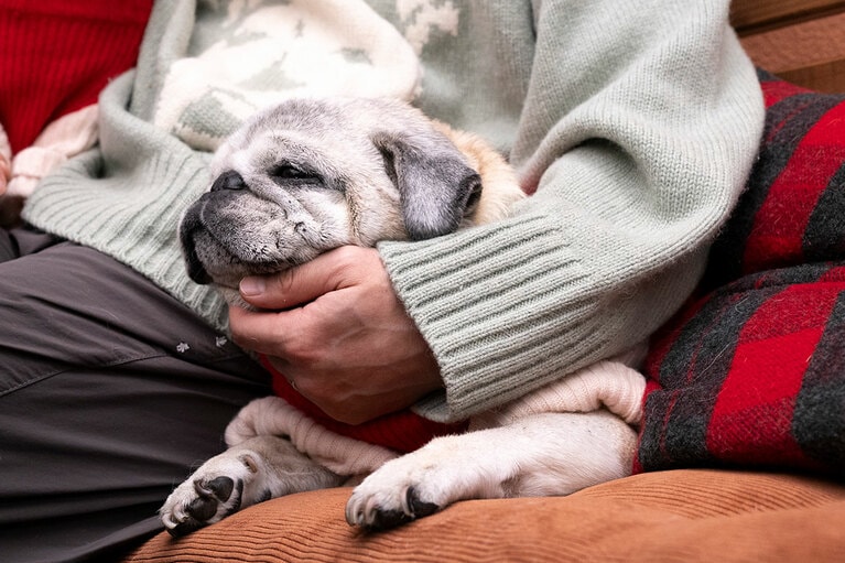 アザーカット。