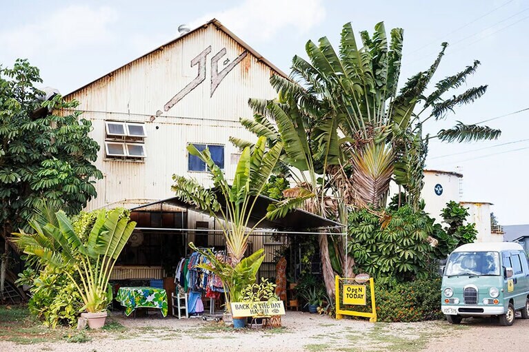 The Cove Collection。