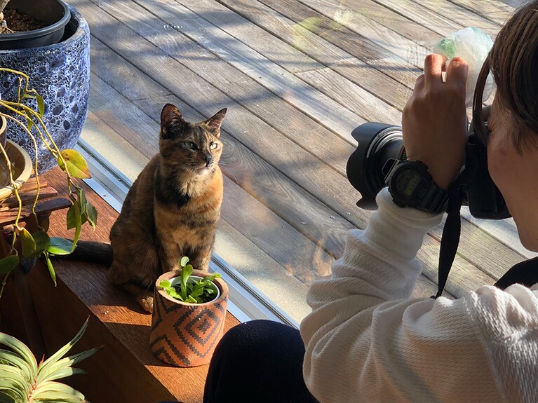 レジ袋で少しだけシャカシャカ音をさせる。