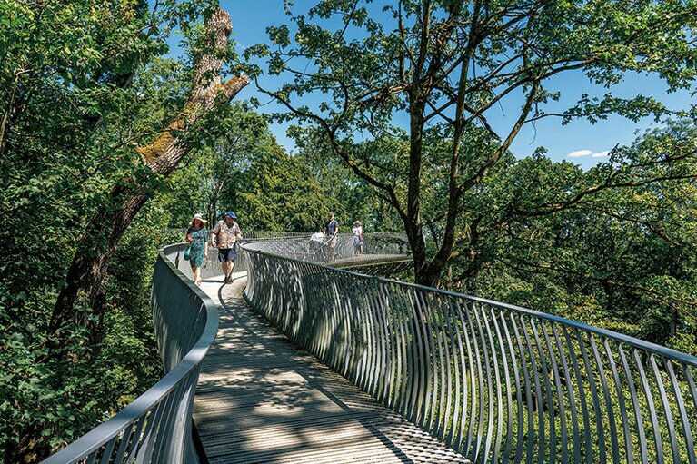 森の中を約12mの高さで空中散歩できる散歩道ヴァイパー。